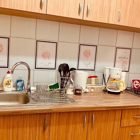 Ultracentral Apartment With All You Need: Wifi, Tv, Ac, Washer, Coffe Timişoara Buitenkant foto
