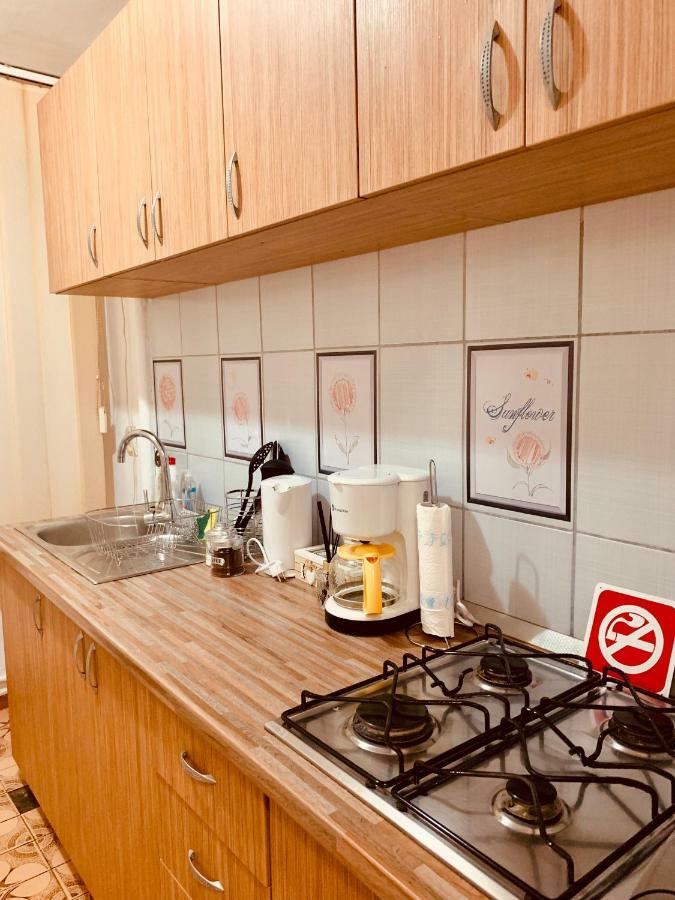 Ultracentral Apartment With All You Need: Wifi, Tv, Ac, Washer, Coffe Timişoara Buitenkant foto