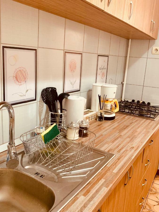 Ultracentral Apartment With All You Need: Wifi, Tv, Ac, Washer, Coffe Timişoara Buitenkant foto
