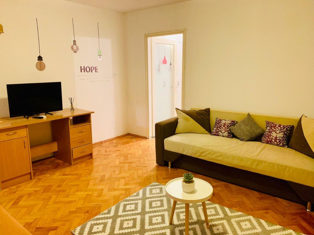Ultracentral Apartment With All You Need: Wifi, Tv, Ac, Washer, Coffe Timişoara Buitenkant foto