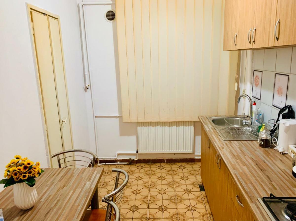 Ultracentral Apartment With All You Need: Wifi, Tv, Ac, Washer, Coffe Timişoara Buitenkant foto