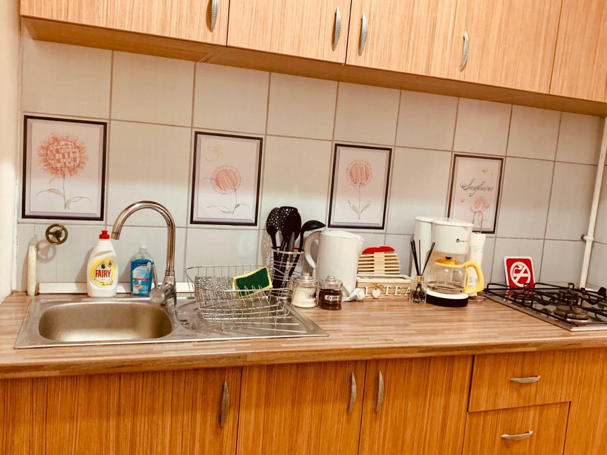 Ultracentral Apartment With All You Need: Wifi, Tv, Ac, Washer, Coffe Timişoara Buitenkant foto
