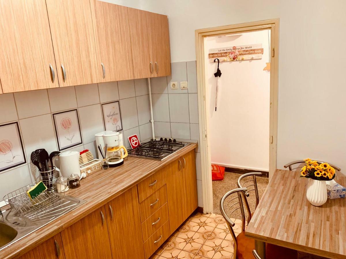 Ultracentral Apartment With All You Need: Wifi, Tv, Ac, Washer, Coffe Timişoara Buitenkant foto